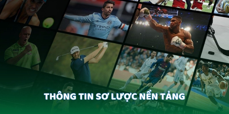 Thông tin sơ lược nền tảng